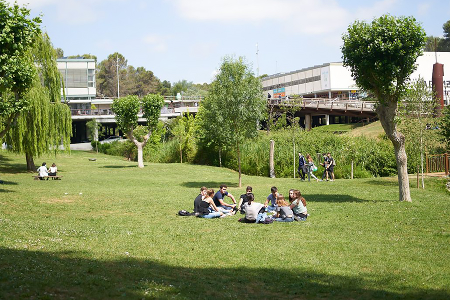 Comunidad universitaria